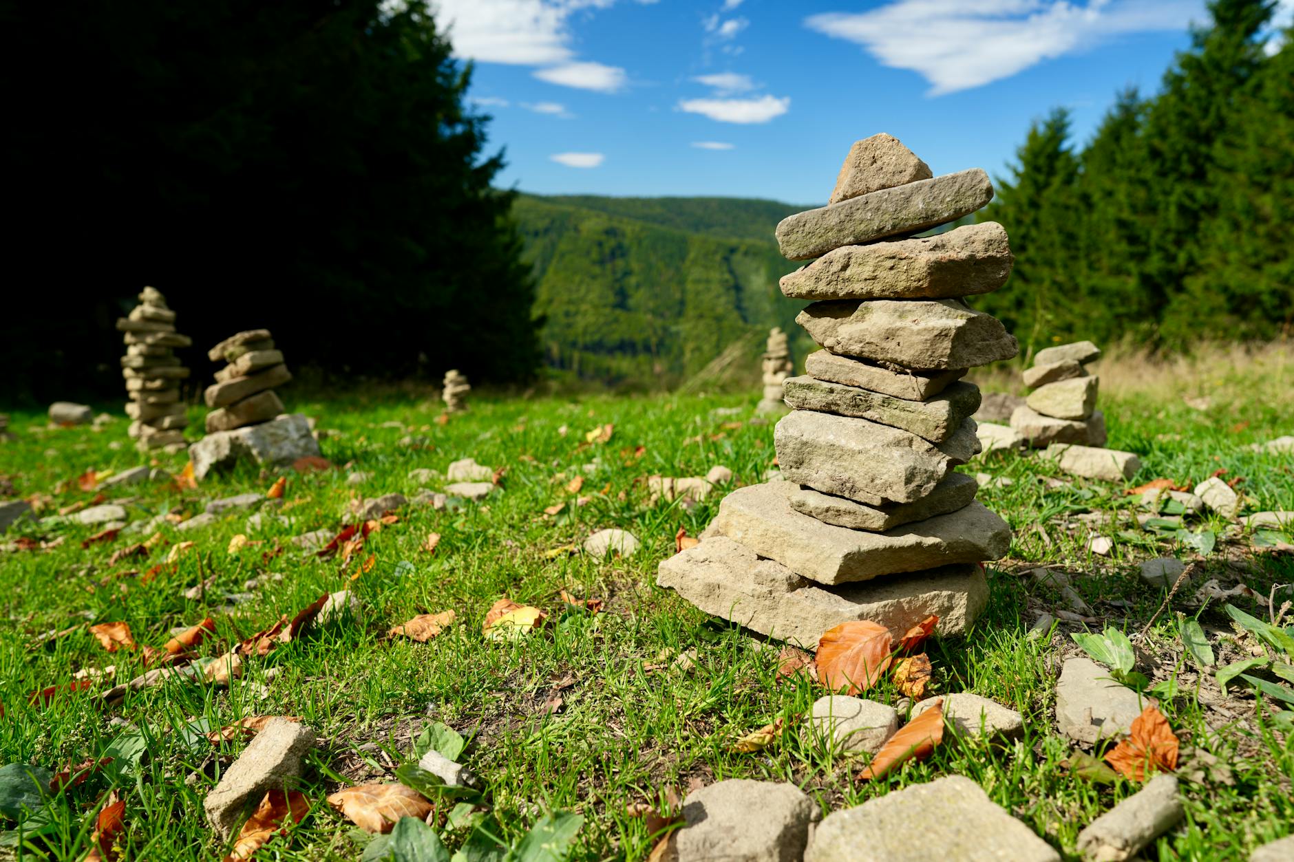 A pile of rocks forming a cairn in a green field surrounded by coniferous trees.